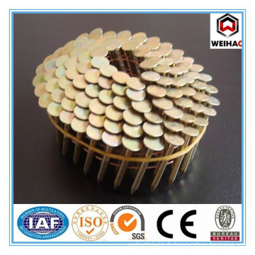 Pallet Coil Nail / Zince Coil Nails / Pinceau peint ou polie Nail pour palette